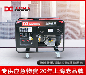 東明單相10kw小型應(yīng)急便攜式柴油發(fā)電機組 DMD12000LE/YJ